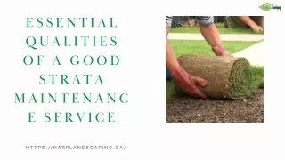 Essential Qualities of a good Strata Maintenance Service
