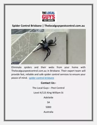 Spider Control Brisbane | Thelocalguyspestcontrol.com.au