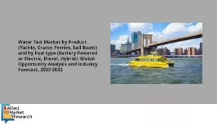 Water Taxi Market PDF