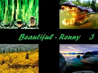 Beautiful - Belle nature et les animaux (Renny) 3