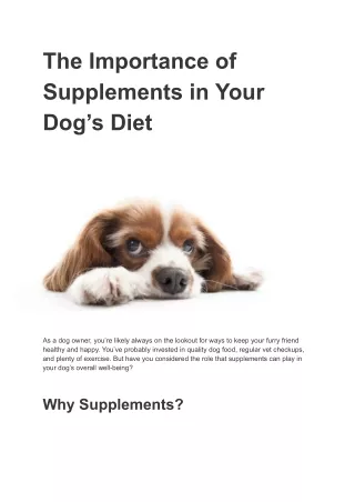 The Importance of Supplements in Your Dog’s Diet