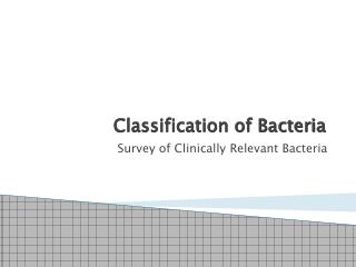 Classification of Bacteria