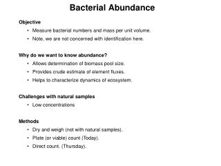 Bacterial Abundance