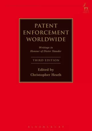 PDF/READ Patent Enforcement Worldwide: Writings in Honour of Dieter Stauder