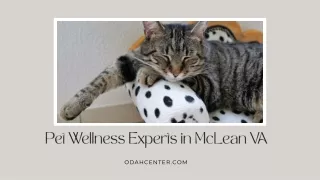 Pet Wellness Experts in McLean VA
