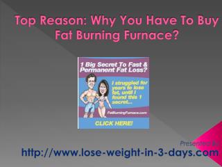 buy fat burning furnace