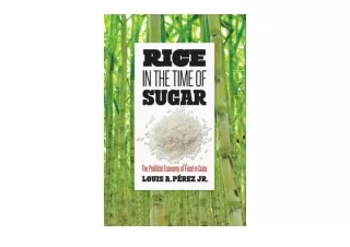 PDF read online Rice in the Time of Sugar The Political Economy of Food in Cuba