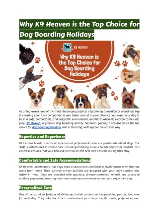 Why K9 Heaven is the Top Choice for Dog Boarding Holidays