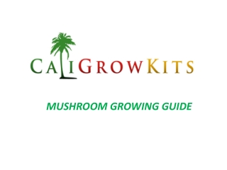 Mushroom Growing Guide - Caligrowkits