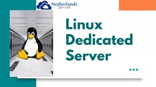 Optimizing Performance on Your Linux Dedicated Server