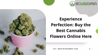 Buy the Best Cannabis Flowers in Canada
