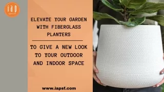 Beautify Your Garden Space with Fiberglass Planters