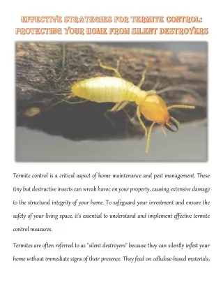 Effective Strategies for Termite Control: Protecting Your Home from Silent Destr