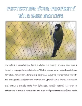 Protecting Your Property with Bird Netting