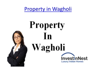 Property in Wagholi