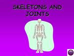 SKELETONS AND JOINTS