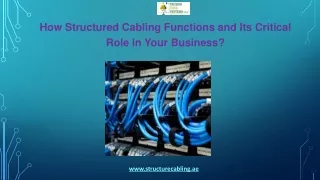 How Structured Cabling Functions and Its Critical Role in Your Business