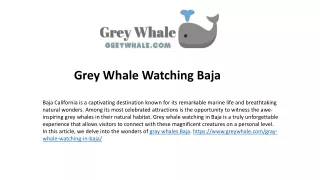 Gray Whales Giants of the Deep