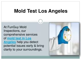 Mold Test Los Angeles