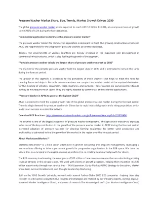 Pressure Washer Market