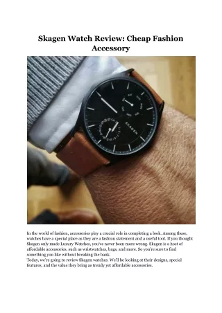 skagen_watch_review__cheap_fashion_accessory