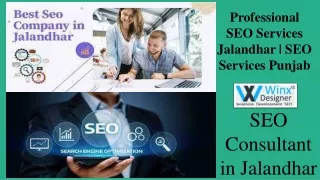 Professional SEO Services Punjab