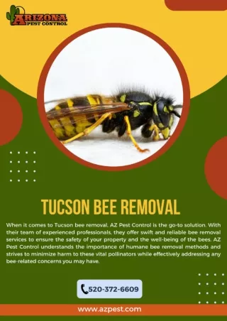 Tucson Bee Removal