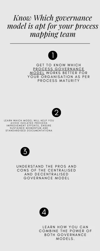 governance model is apt for your process mapping team