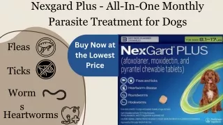 Nexgard Plus - All-In-One Monthly Parasite Treatment for Dogs