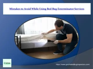 Mistakes to Avoid While Using Bed Bug Exterminator Services