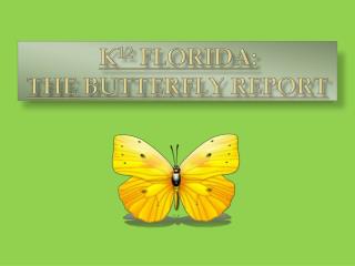 K 12 Florida: The Butterfly Report