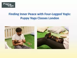 Finding Inner Peace with Four-Legged Yogis Puppy Yoga Classes London