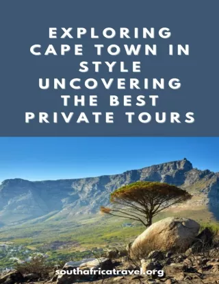 Uncovering the Best Private Tours in Cape Town