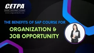 The Benefits of Sap Course for Organization & Job Opportunity