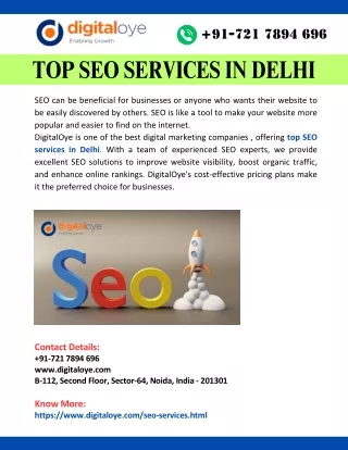 Top SEO Services in Delhi
