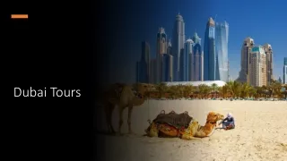 Dubai Tours