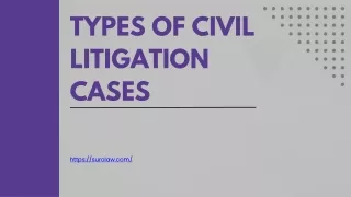 Types of Civil Litigation Cases