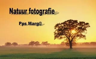 Fotografie prirody - Natuur fotografie (Marga)