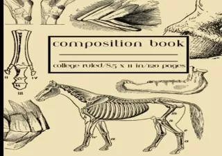 Download Vintage Horse Anatomy Composition Book: for Veterinary Students, Techs,