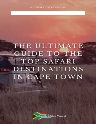 Wild Encounters - Exploring Cape Town's Best Safari Spots