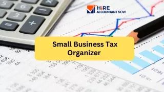 Streamline Your Tax Preparation with Small Business Tax Organizer