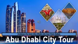 Undergo the best Abu Dhabi city tour from Dubai.