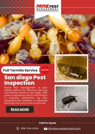 San Diego Bed Bug Control