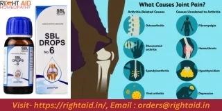 Analyzing the Homoeopathic SBL Drops No. 6's Prospects for Cure
