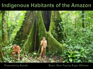 Domorodi amazonsti obyvatele - Indigenous Habitants of the Amazon (Brenda)