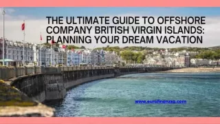 Guide to Offshore Company British Virgin Islands -Planning Your Dream Vacation