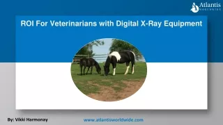 ROI For Veterinarians with Digital X-Ray Equipment