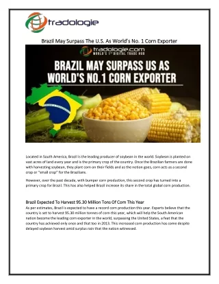 Brazil May Surpass The U.S. As World’s No. 1 Corn Exporter