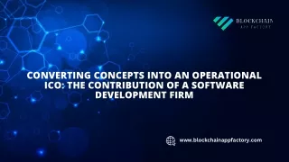 Converting Concepts into an Operational ICO The Contribution of a Software Development Firm