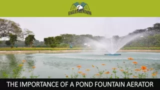 The Importance of a Pond Fountain Aerator